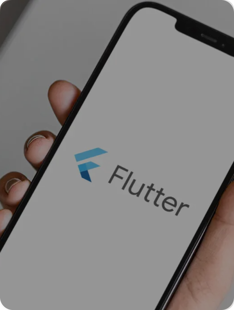 flutter app development service img